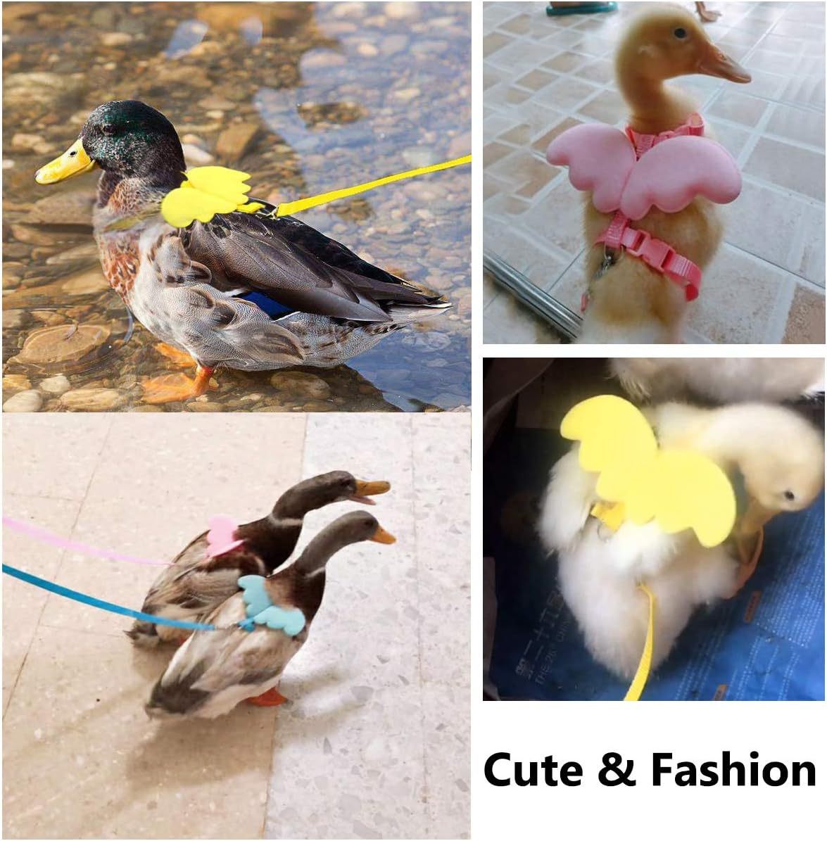 Adjustable Walking Harness With Wings And Traction Rope For Chickens, Ducks, Geese, Hens And Small Pets