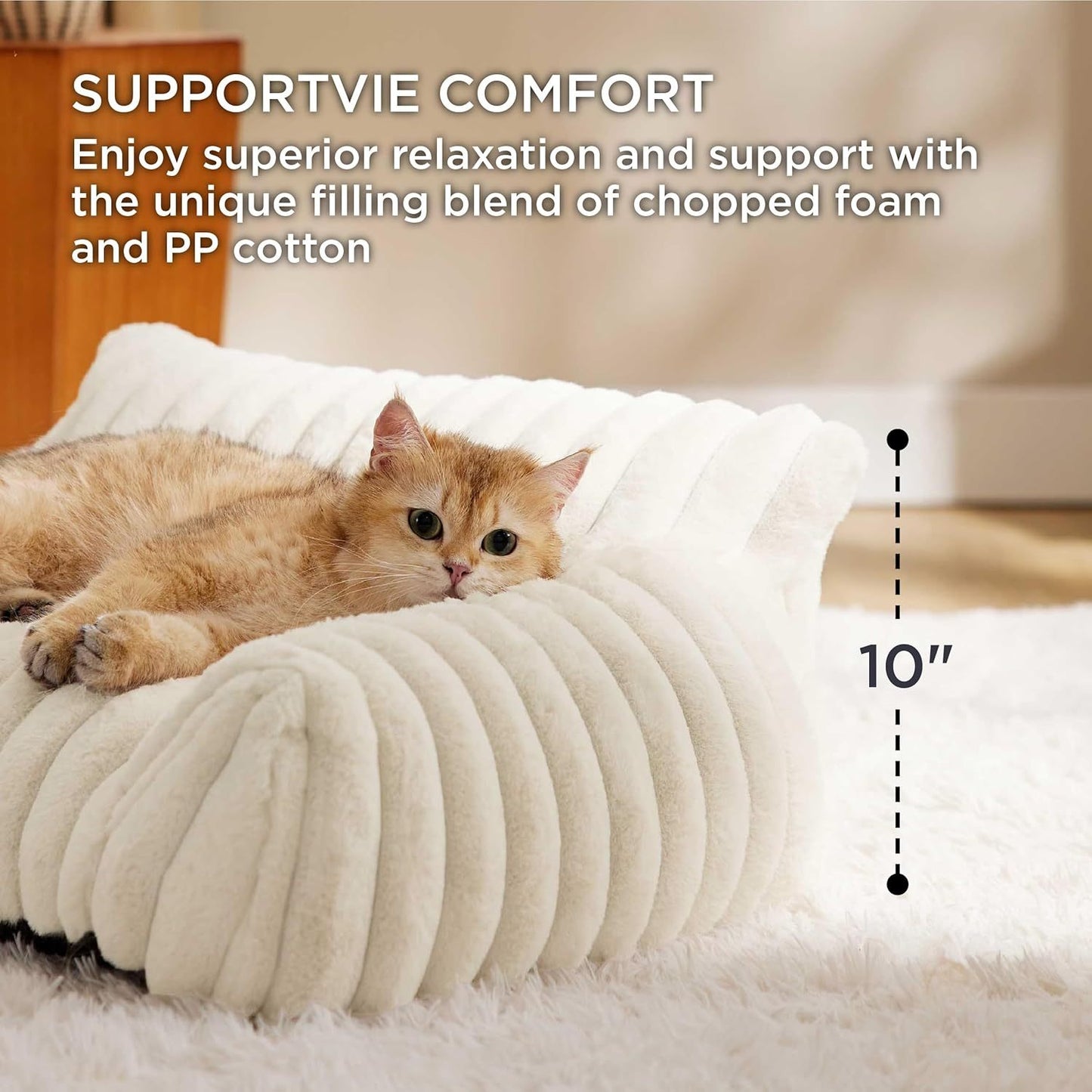 Lindo sofá para gatos Bedsure para mascotas: sofá mullido para gatos con vellón de pana suave de primera calidad, sofá cama para gatos con funda, silla de apoyo para gatos de interior