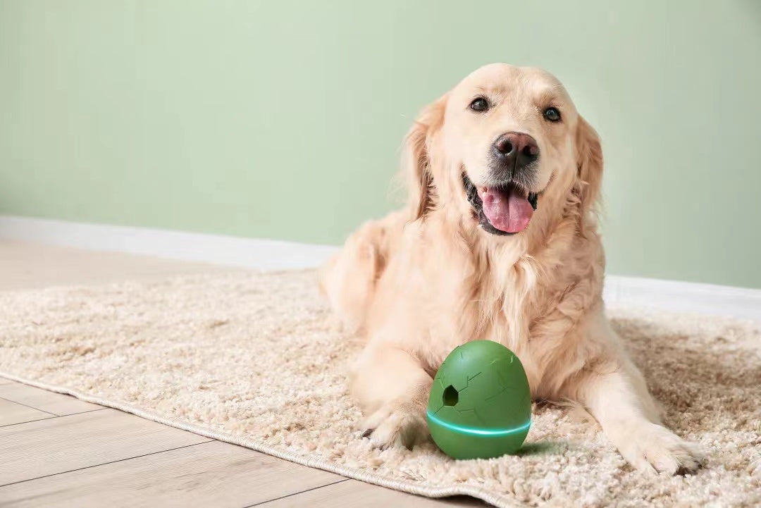 Distributeur de collations intelligent pour animaux de compagnie, jouet dansant en forme d'œuf, conception pour animaux de compagnie