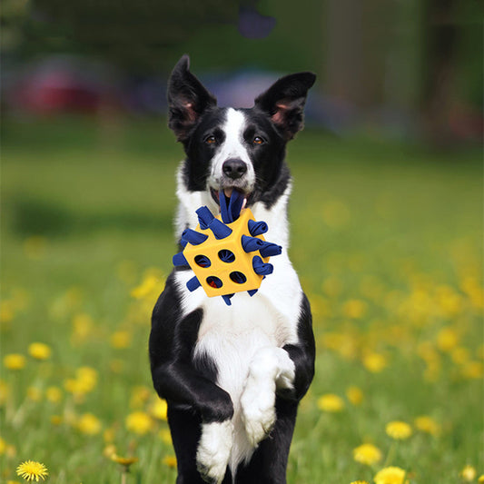 Dog Cube Molar Juguetes educativos de larga duración Productos para mascotas