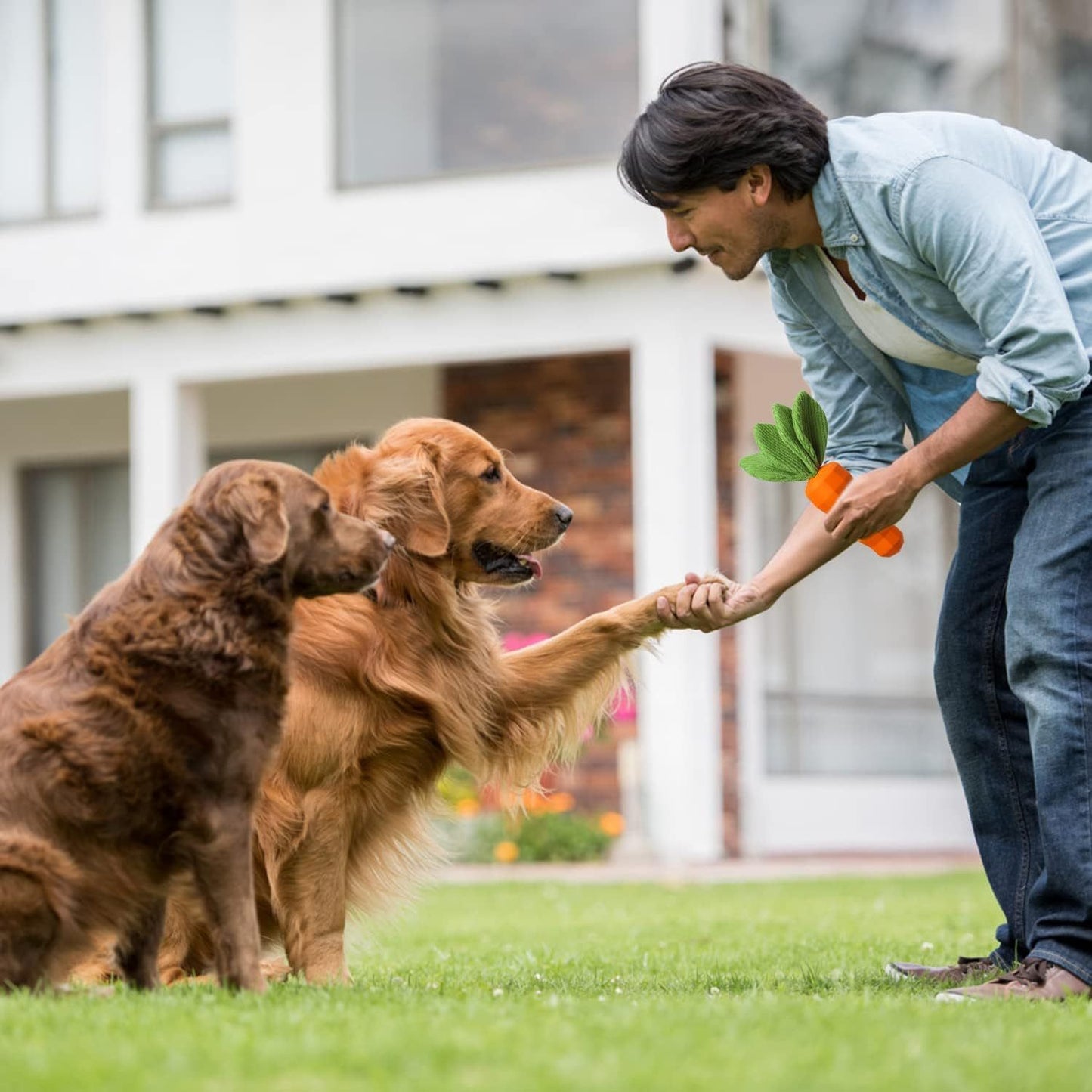 Juguetes para perros con sonido chirriante para masticadores agresivos Juguetes de goma con forma de zanahoria para entrenamiento y limpieza Juguete interactivo resistente para perros medianos