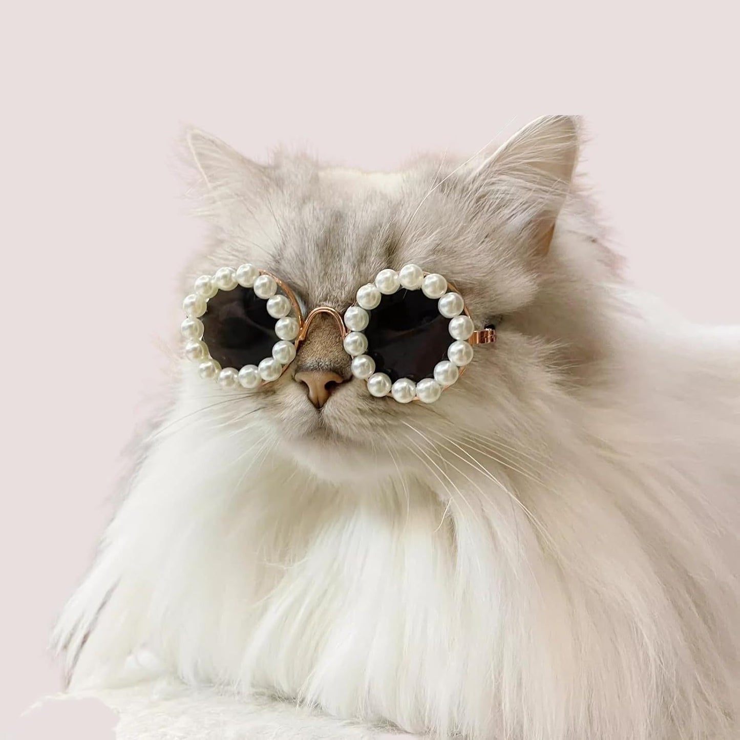 Cat And Dog Pearl Sunglasses - Pet Extravagant Funny Cute Dress Up Costume Accessories For Party