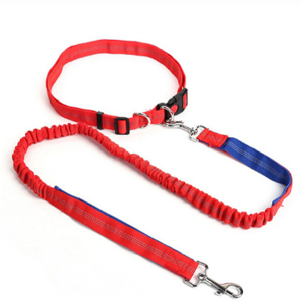 Laisse pour chien en corde de traction