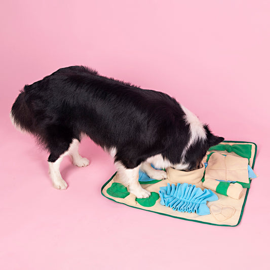 Tapis à renifler pour chiens, couverture d'alimentation nasale, tapis à renifler pour jeux interactifs, jouets d'enrichissement de puzzle pour animaux de grande, petite et moyenne taille