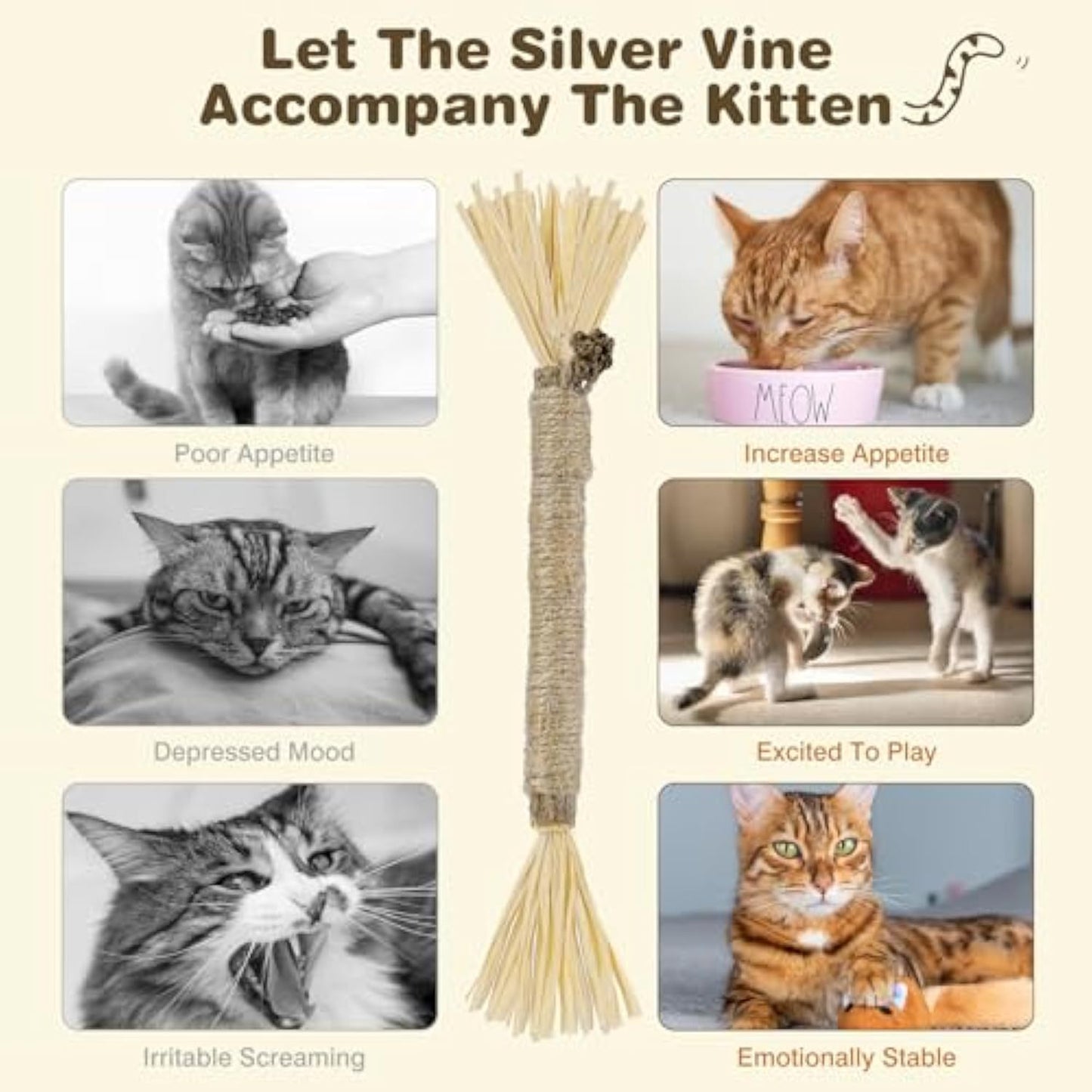 Lot de 3 bâtonnets Silvervine pour chats, jouet à mâcher pour les soins dentaires, bâtonnets à mâcher comestibles pour le nettoyage des dents, jouets pour chats d'intérieur