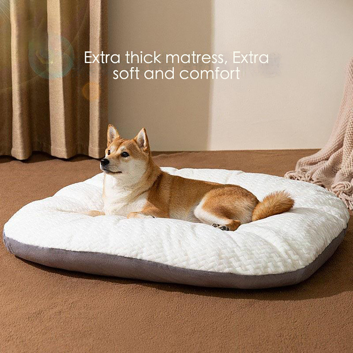 Cojín de forma ovalada para perros grandes Cama cómoda para perros Camas lavables para jaulas