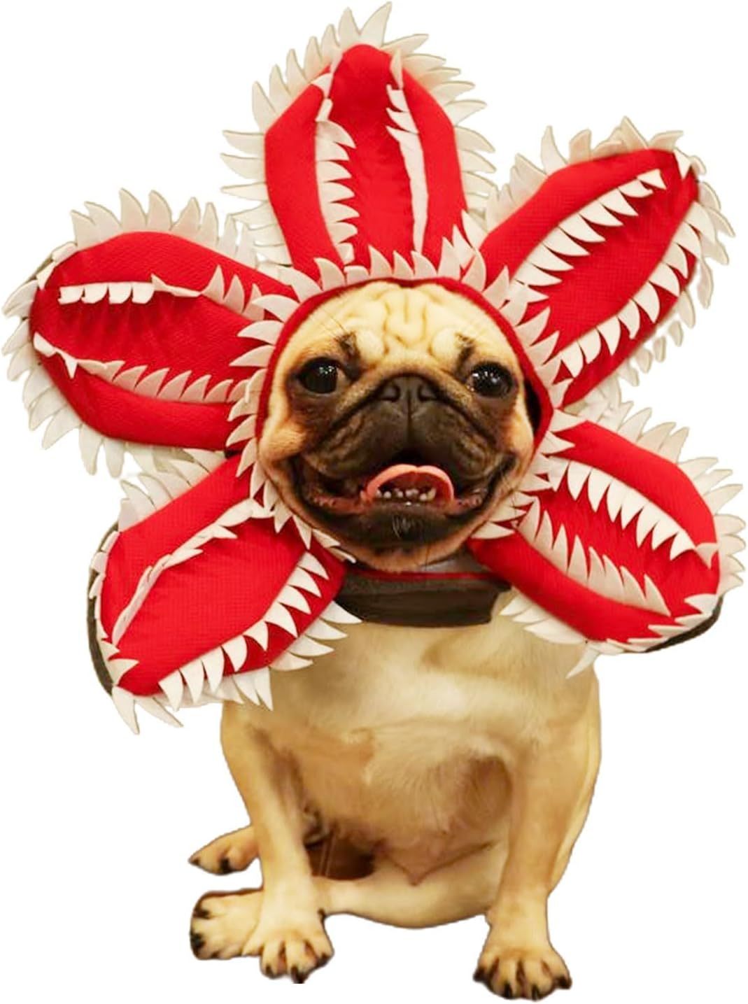 Disfraz de demonio para Halloween para perro, sombrero de demonio para mascota, diadema aterradora, trajes de cosplay de flores, tocado divertido, ropa extraña para perro mediano