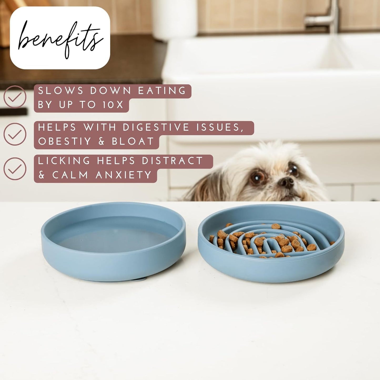 The Slowdown Bowl Silicone Slow Feeder For Dogs Puppies Slow Eating Modern Lick Mat Design Reduces Gulping Dishwasher Fit For All Breed Mealtime Challenge