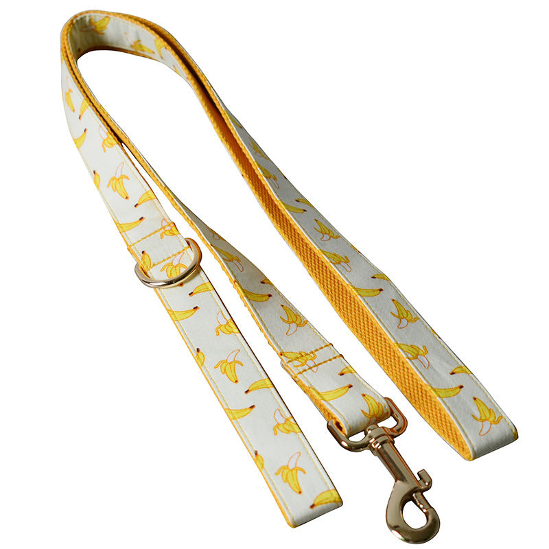 Tow Rope Collar Pet Supplies Gold Metal Buckle