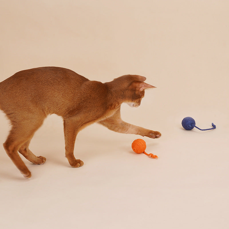 Juguete para gatos, palo para bromear, pelota de hierba gatera resistente a las mordeduras, juego de juguetes para gatos, juguete para gatos, gatito que se auto-saluda