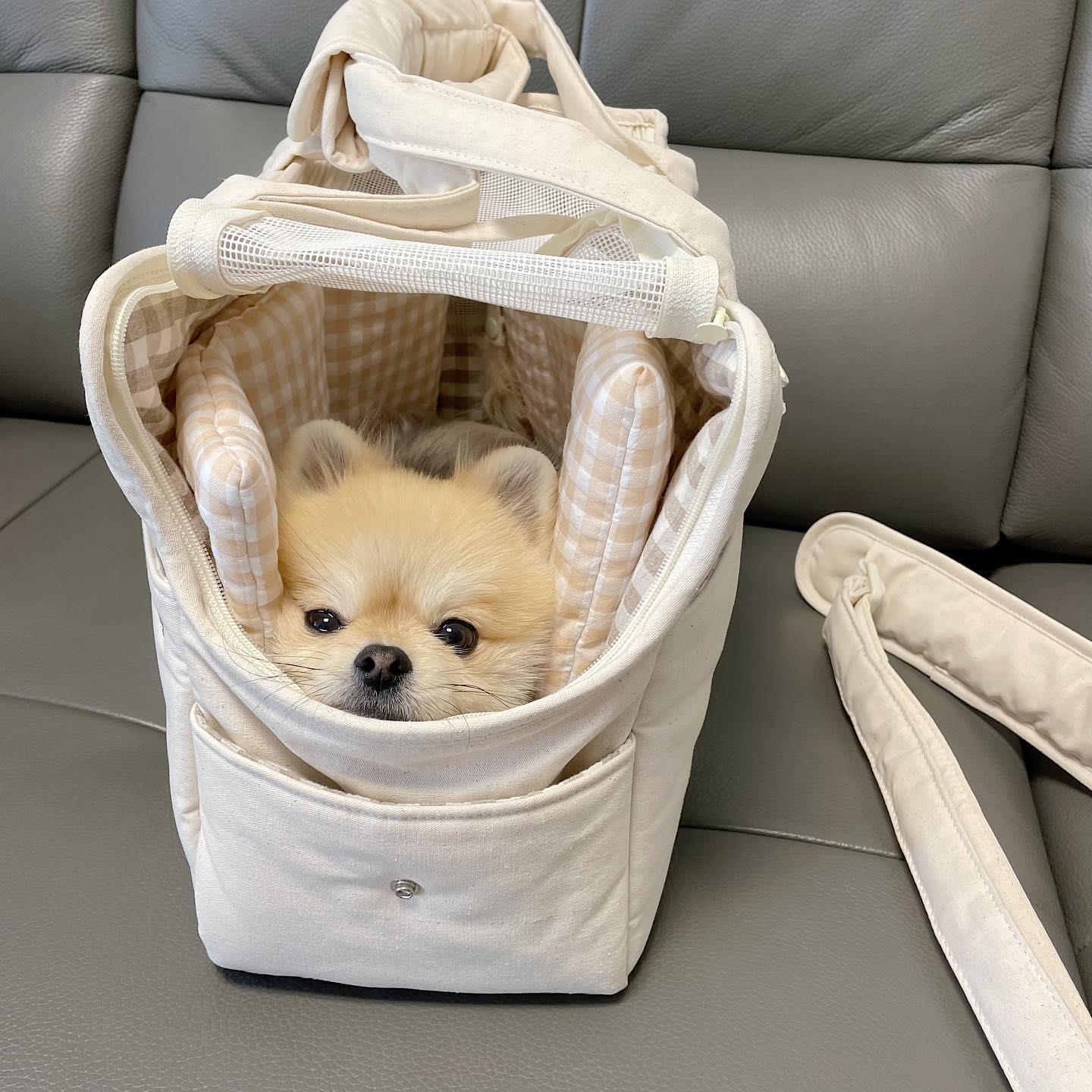 Bolsa de mensajero de mano para perros pequeños para mascotas