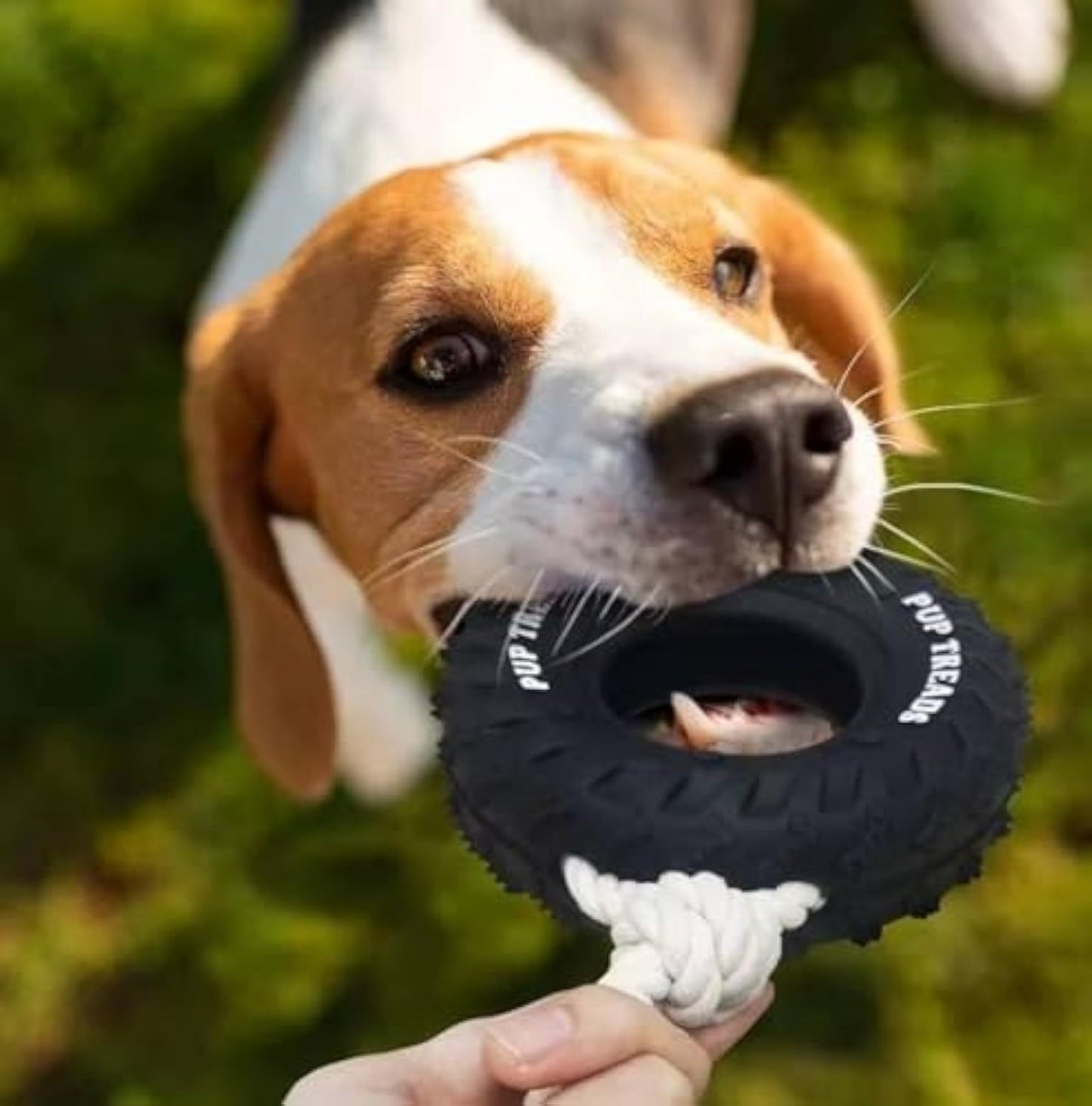 Juguetes duraderos para perros que mastican agresivamente Juguetes interactivos resistentes para perros grandes Juguete masticable para perros de cumpleaños Juguetes para la dentición Juguete para perros dispensador de golosinas