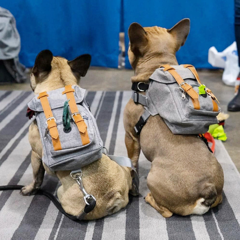 Sac à dos pour animaux de compagnie Schnauzer sac Corgi pour chien de petite et moyenne taille