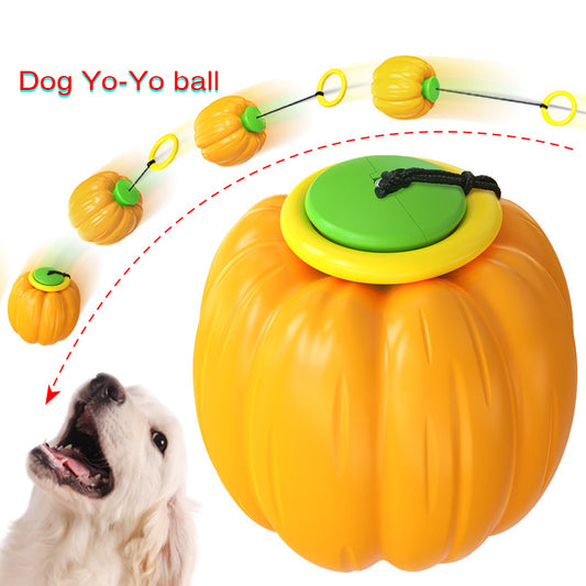 Pet Toy Small Dogs Squeaker Dog Training Ball Dog Molar Toy Squeaky Dog Pumpkin Teething Toys For Puppies Dog Bite Toys Puppy Chew Toy Halloween Dog Chew Toy Dog Ball Plastic