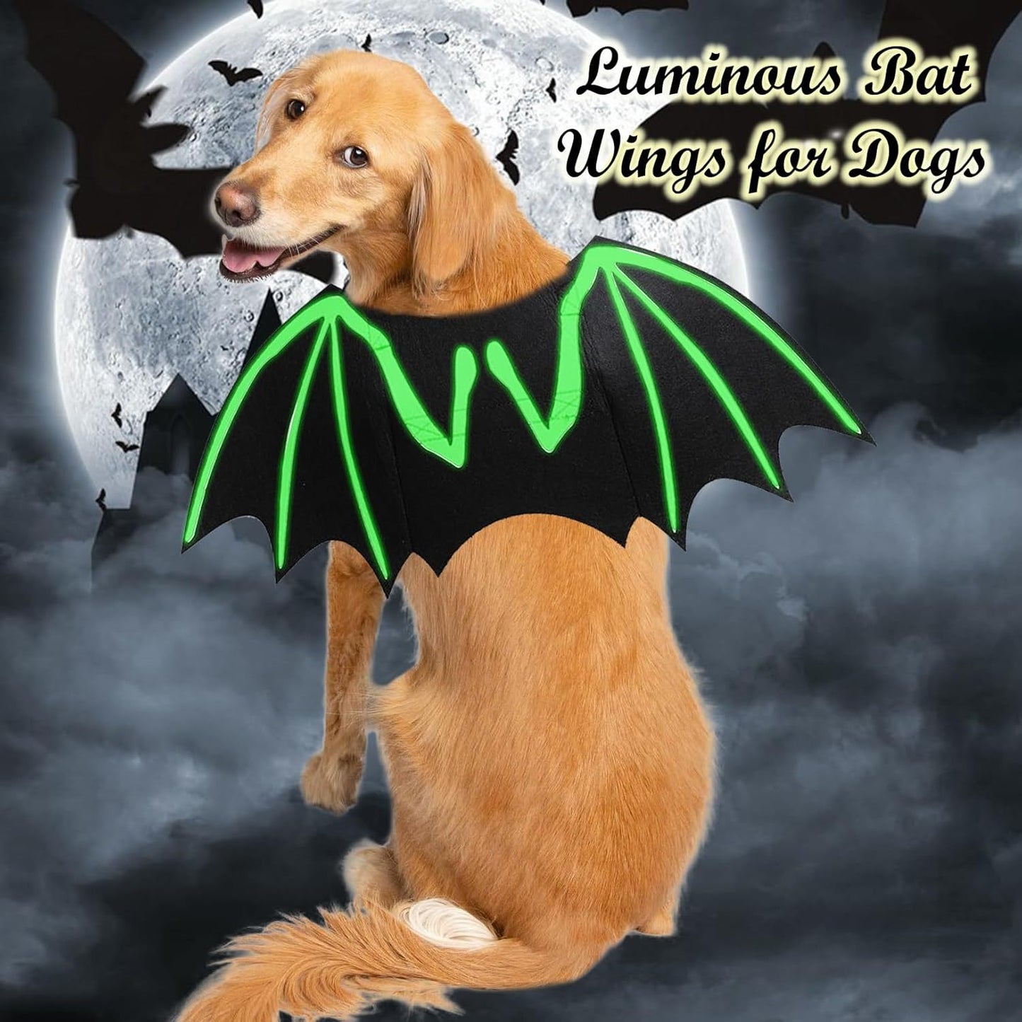 Disfraces de Halloween para perros Disfraz de murciélago para perros Esqueleto luminoso fresco Hueso Alas de murciélago Disfraces de cosplay para mascotas Ropa de vestir para perros y gatos pequeños, medianos y grandes