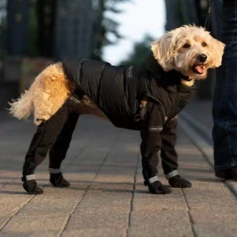 Cinturón elástico con zapatos reflectantes para mascotas impermeables