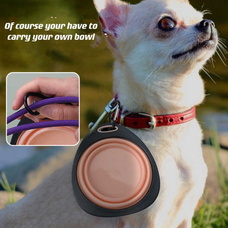 Candy Color Dog Folding Bowl Outdoor Travel Pet Feeding Food And Portable Drinking Water Cup For Puppy Small Large Animal Cats