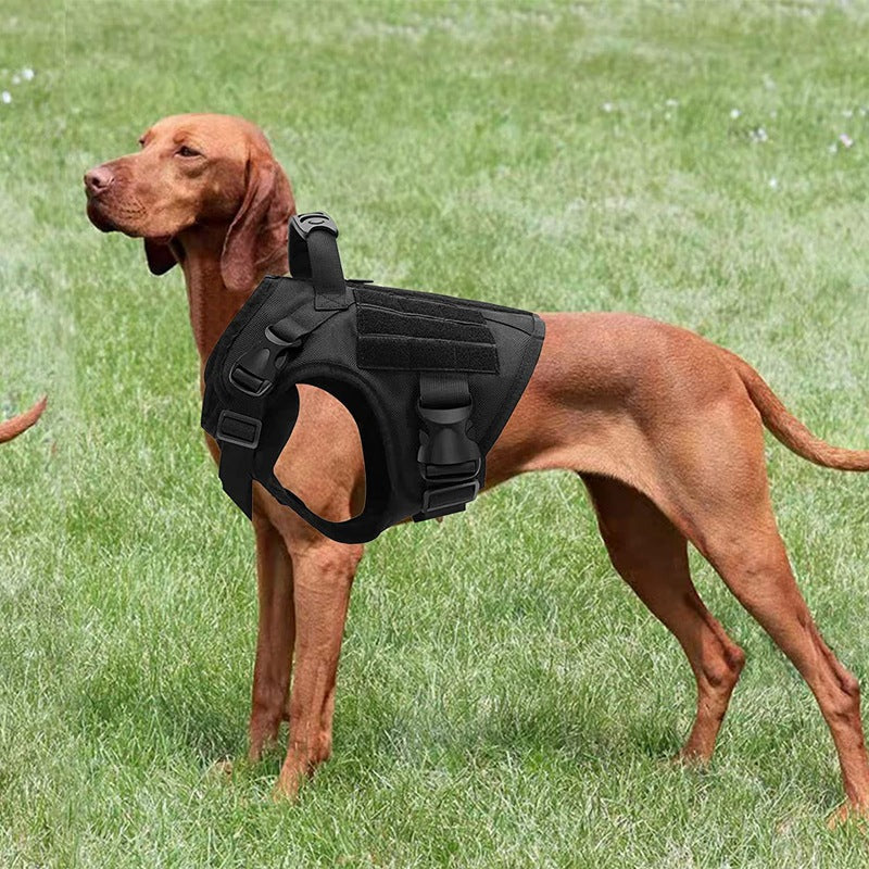 Gilet en Nylon hydrofuge, entraînement tactique, sangle de poitrine pour chien de berger allemand, antidéflagrant