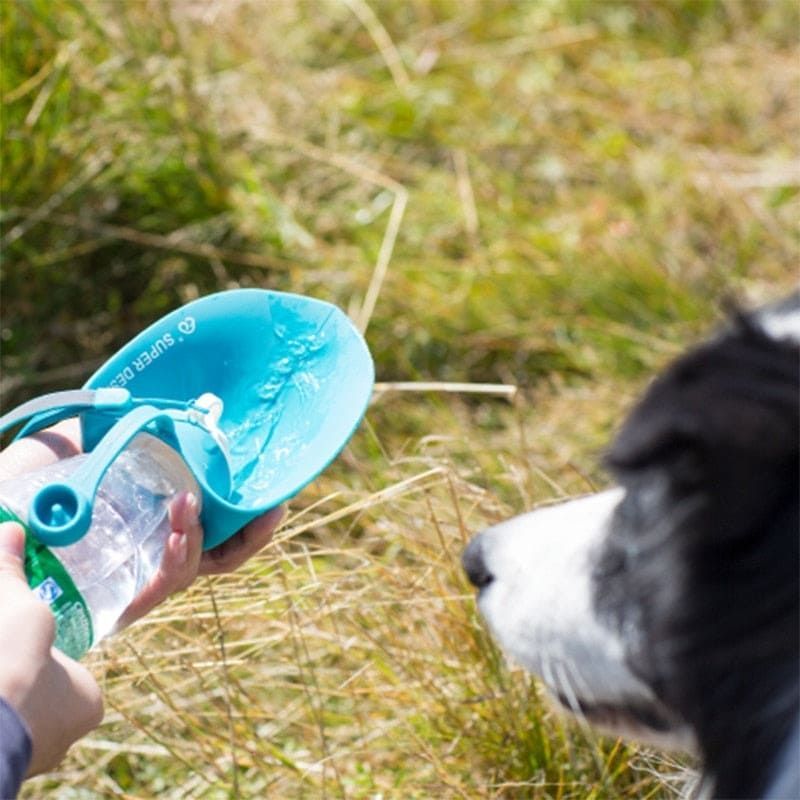 Botella de agua para mascotas de 20 oz con diseño de hojas