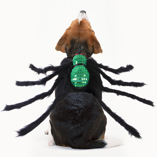 Pet Sequined Spider Chest And Back Halloween Creative Cats, Dogs, Small Dogs And Costumes