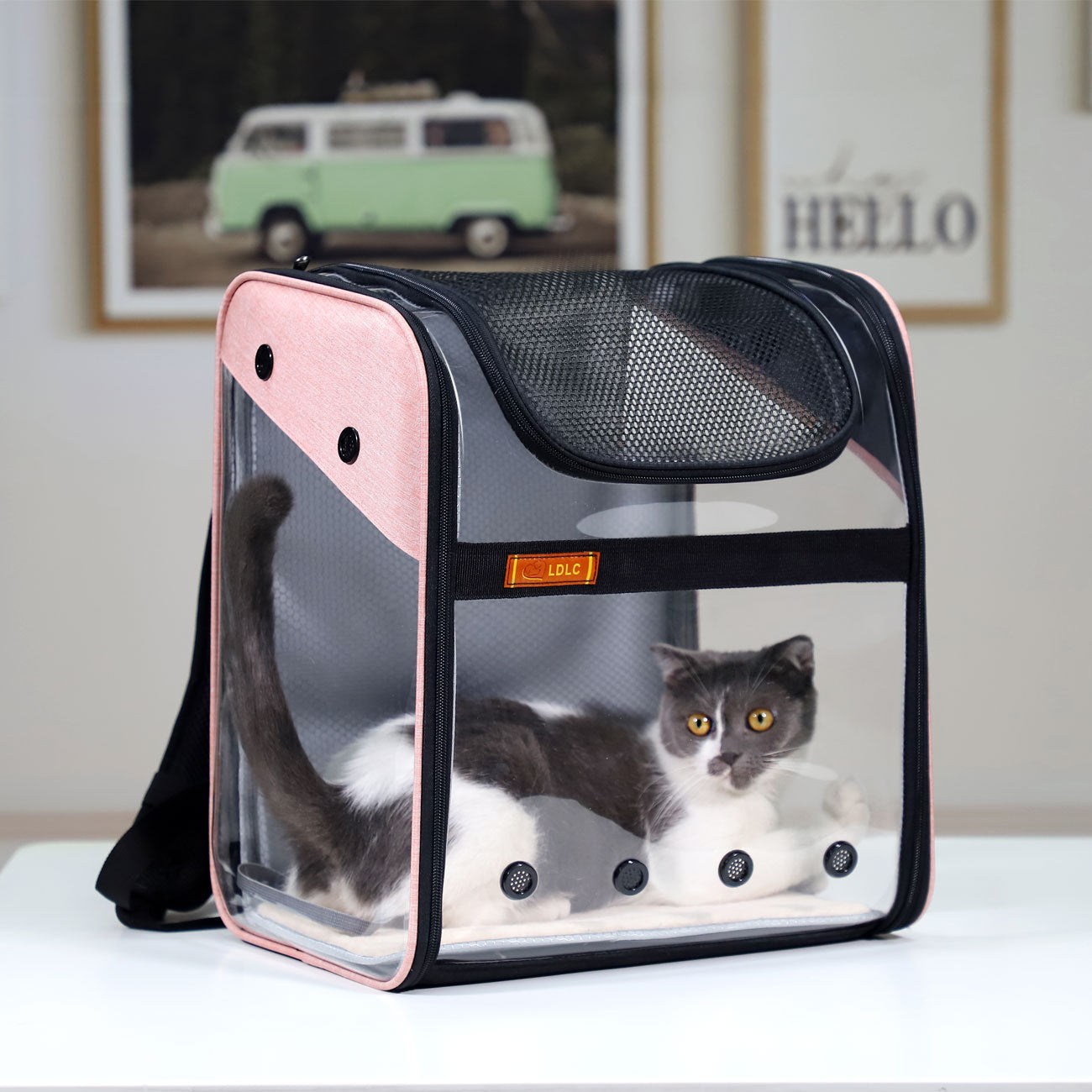 PVC transpirable de gran capacidad para gatos, cápsula espacial, bolsa para gatos, mochila portátil para perros y mascotas, doblez