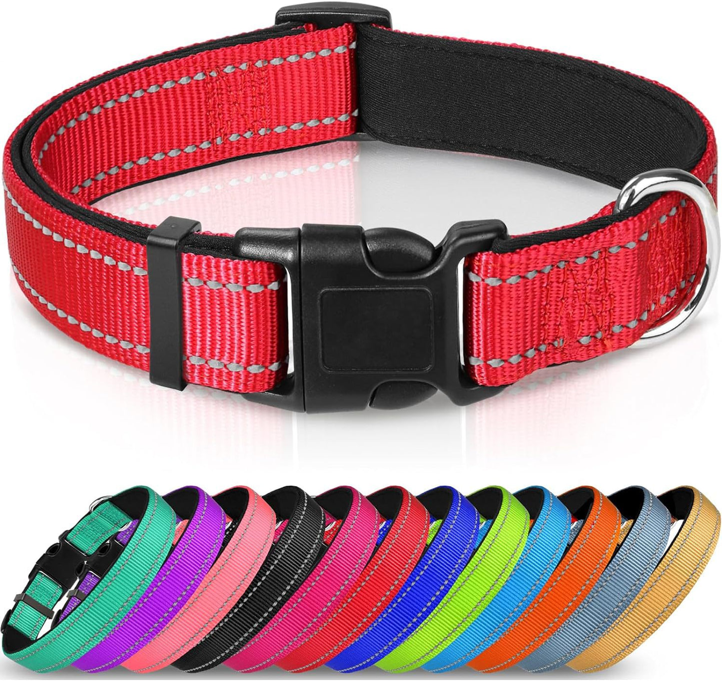 Adjustable Reflective Nylon Webbing Dog Collar