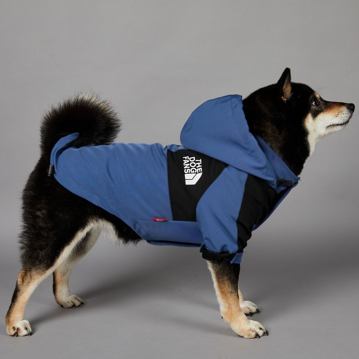 Chaqueta impermeable para perros grandes resistente al viento y a la lluvia