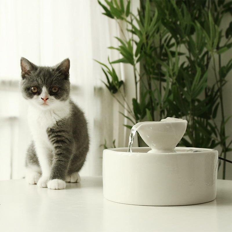 Fontaine de bol à boire à circulation intelligente en céramique pour chats