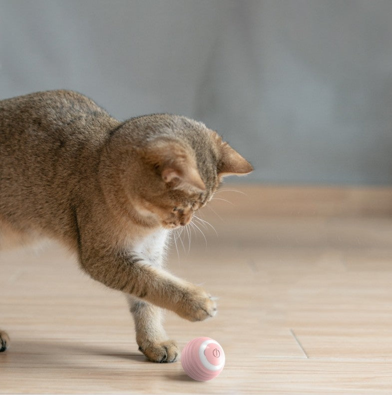 Juguete para mascotas Bola automática para burlas de gatos