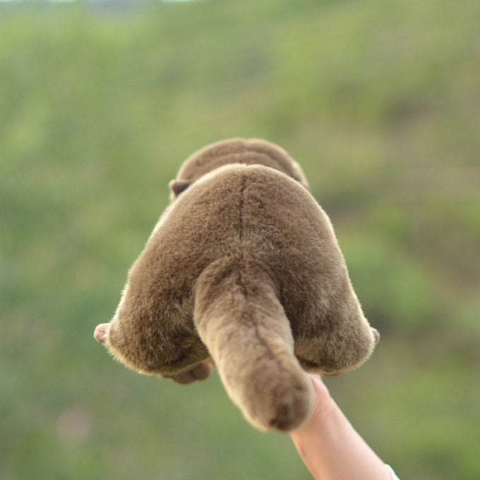 Simulation de loutre en peluche, poupée animale, Expert en pêche