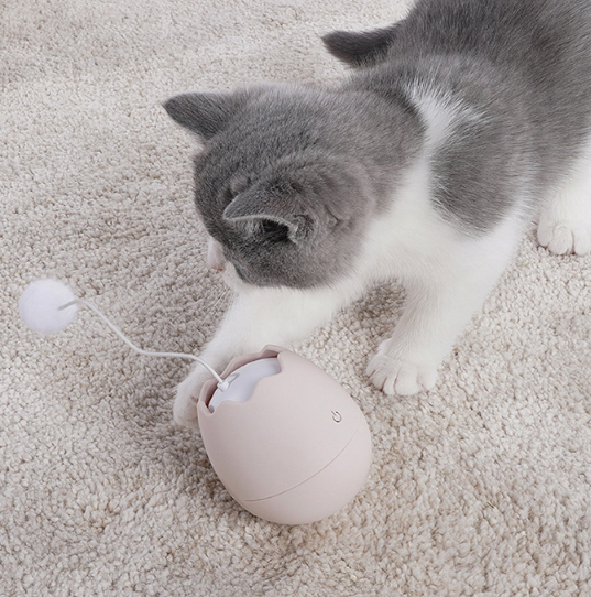 Divertidos juguetes para gatos con artefactos para gatos.