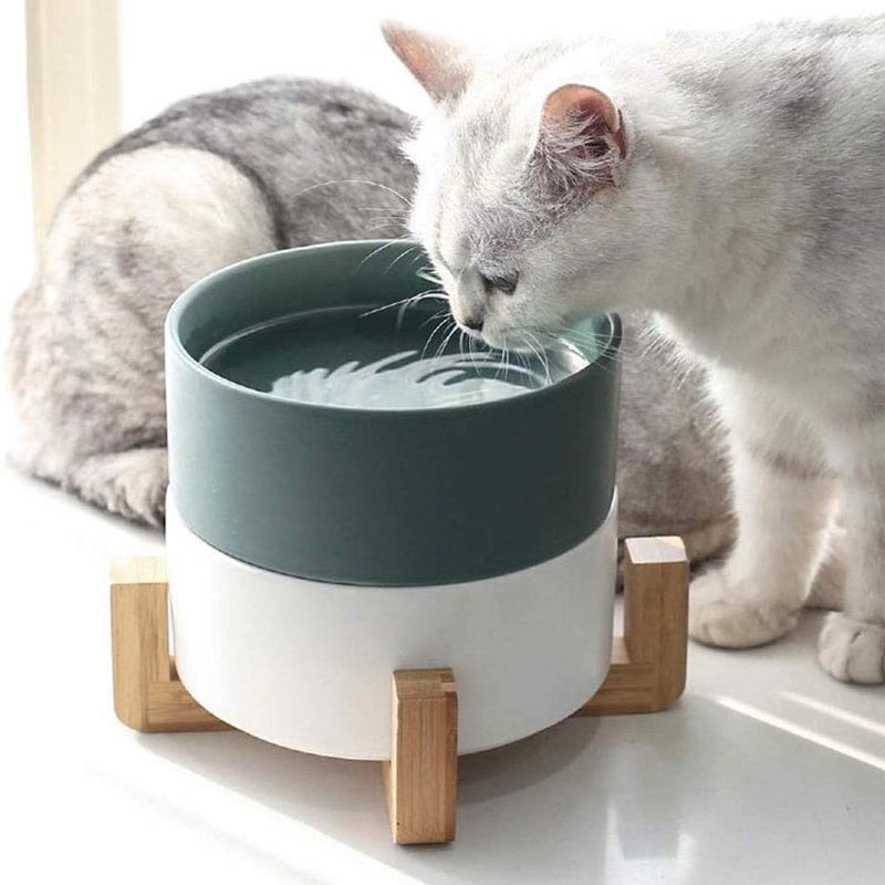 Gamelle à nourriture pour chat et chien gamelle pour chien