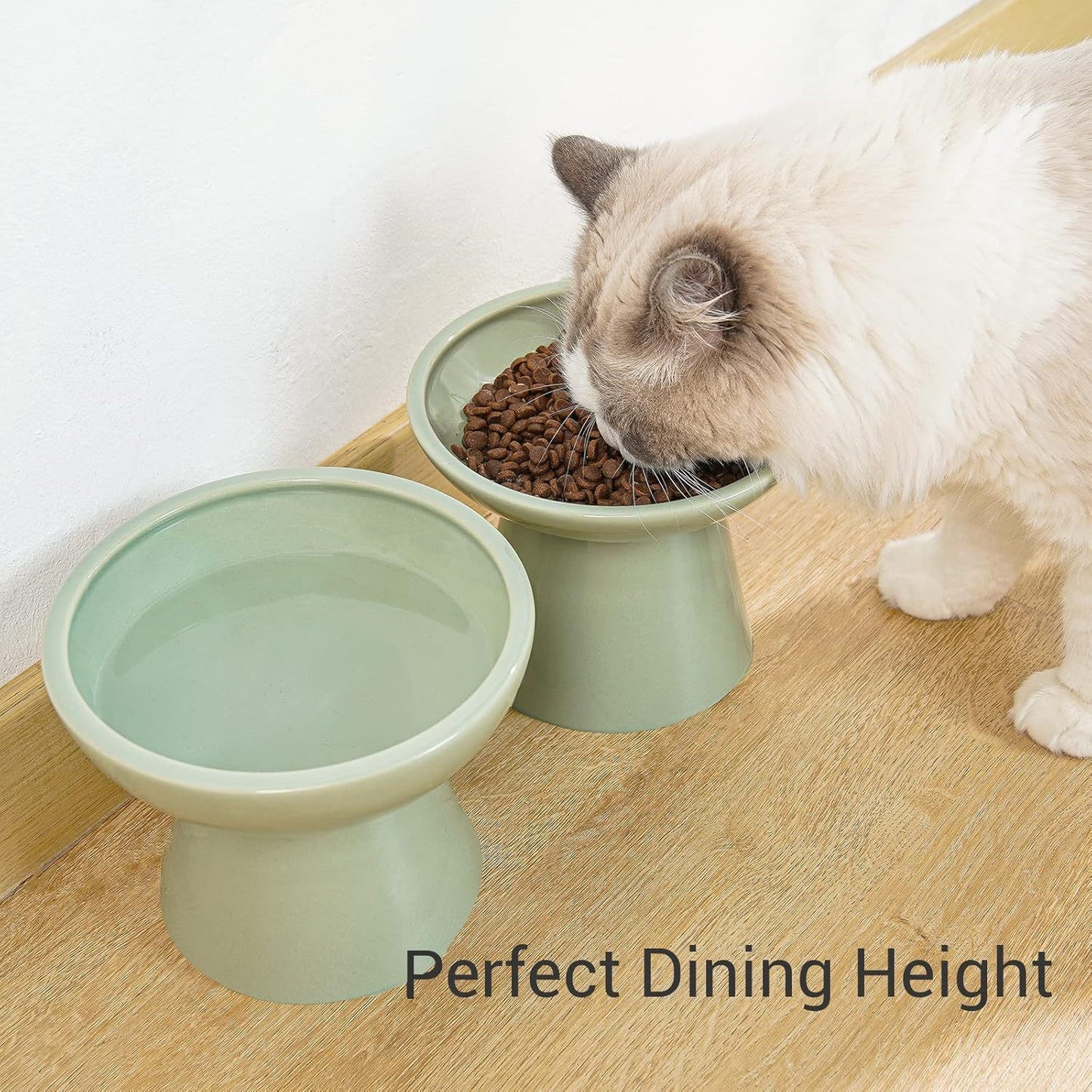 Cuenco de comida para gatos elevado extra ancho Cuencos de cerámica para comida y agua para gatos Plato de comida para gatos ancho y poco profundo Antifatiga para bigotes Sin plomo y cadmio Gran altura para gatos