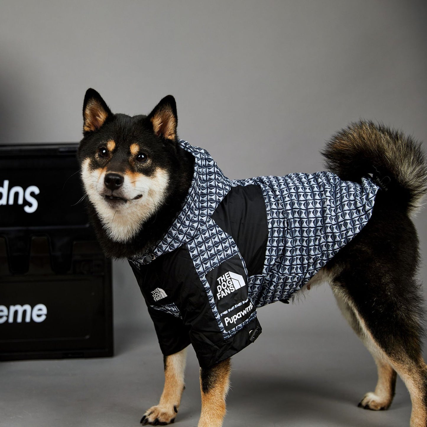 Veste imperméable coupe-vent et imperméable pour chien, nouvelle marque de mode