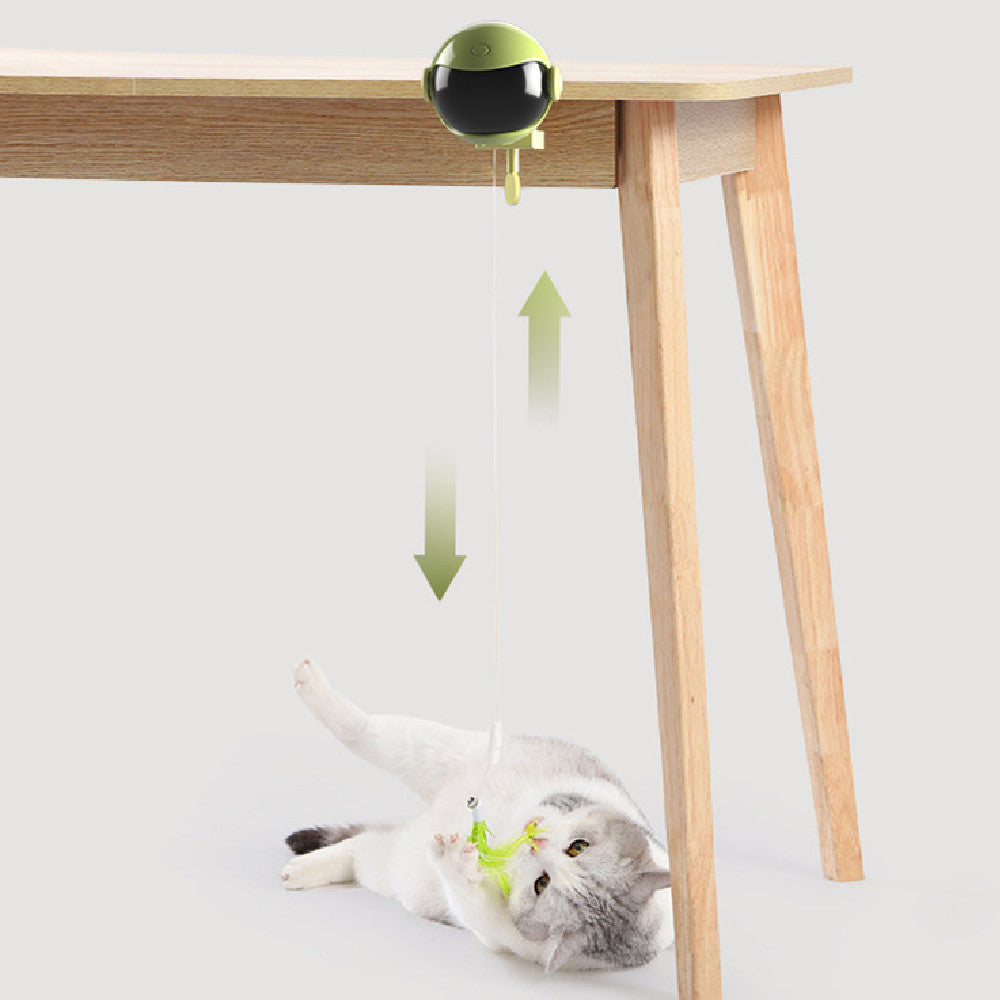 Juguete eléctrico para gatos con bola de elevación automática