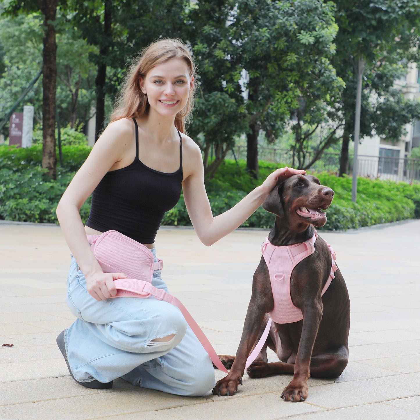 Diseño de pana rosa para el pecho de la mascota, puede tallar el bolso para pasear al perro con cuerda y Collar para escribir