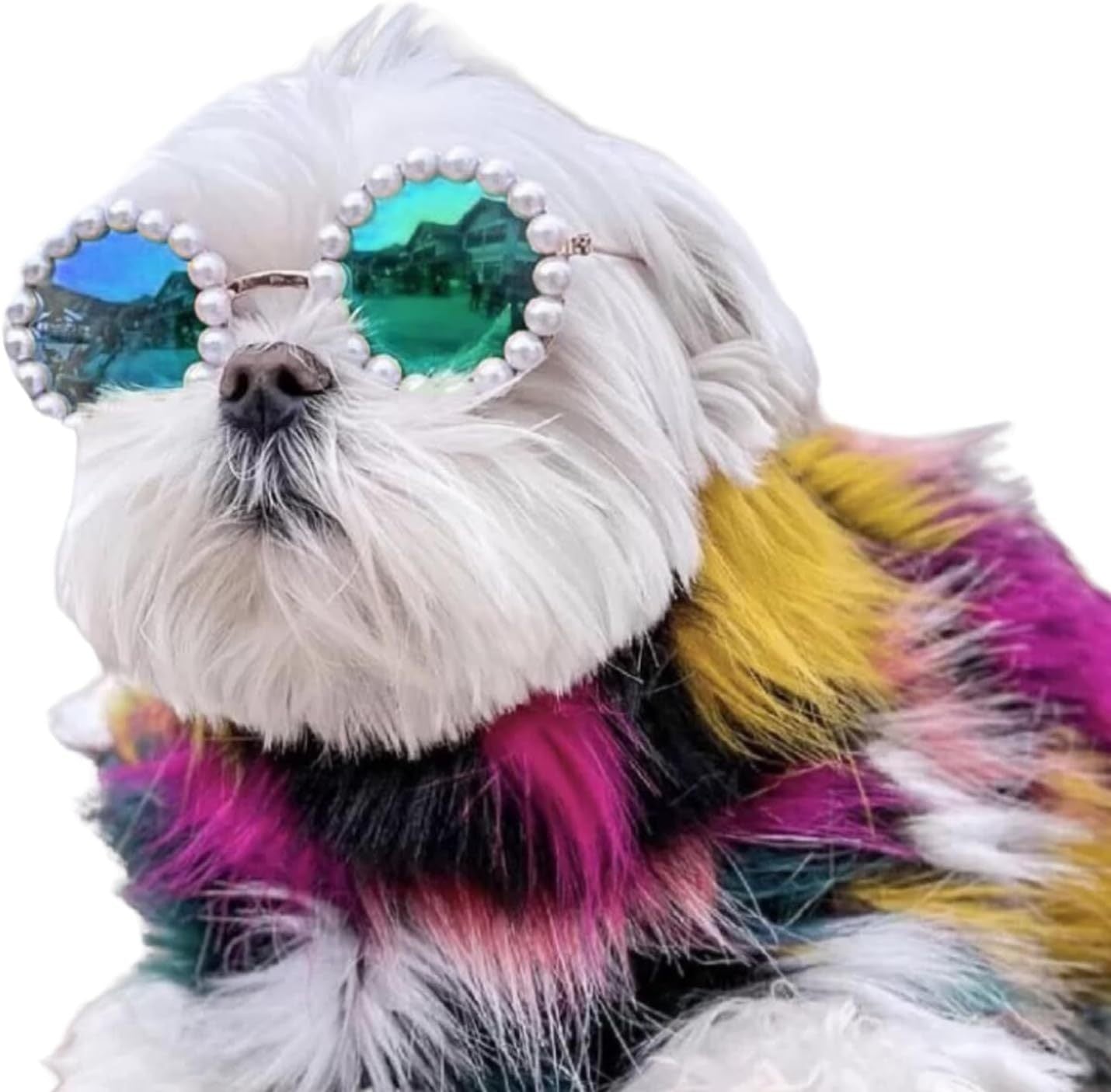 Cat And Dog Pearl Sunglasses - Pet Extravagant Funny Cute Dress Up Costume Accessories For Party