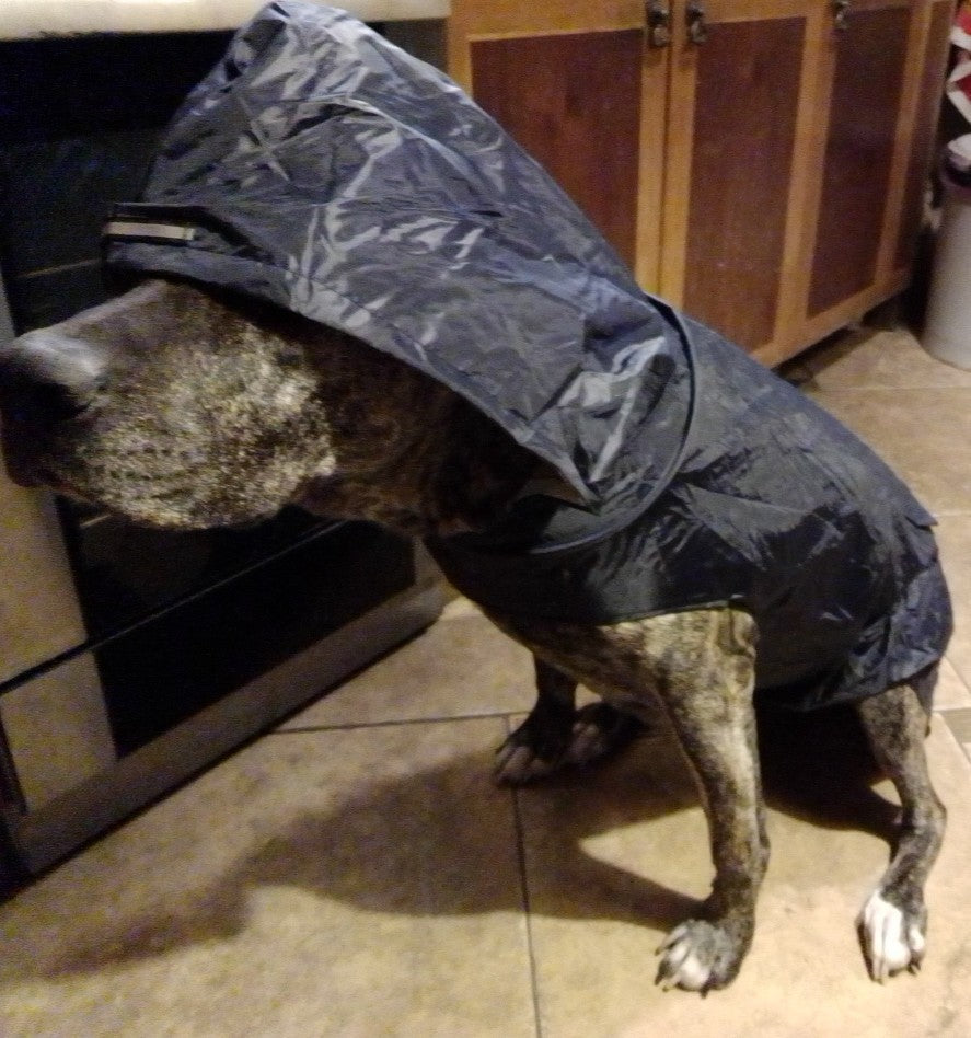 Chubasquero impermeable para cachorros con capucha a prueba de viento para mascotas