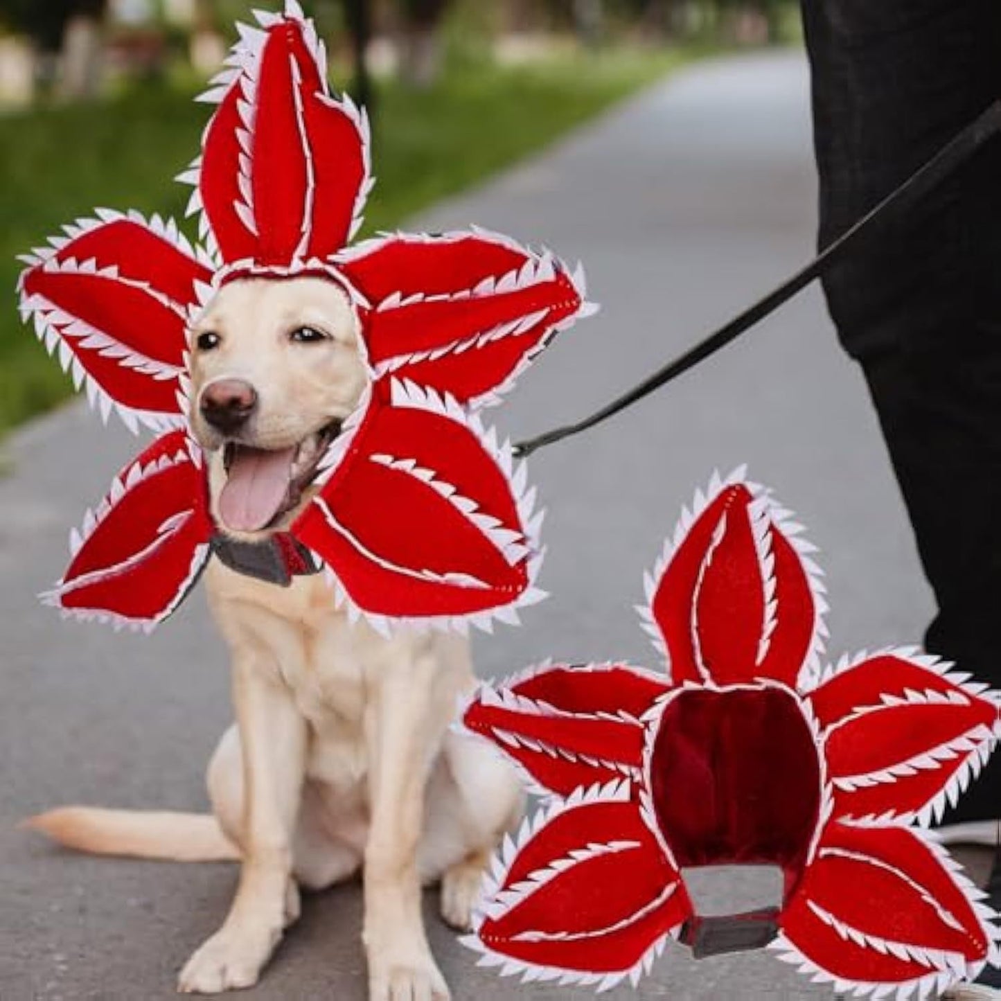 Disfraz de demonio para Halloween para perro, sombrero de demonio para mascota, diadema aterradora, trajes de cosplay de flores, tocado divertido, ropa extraña para perro mediano