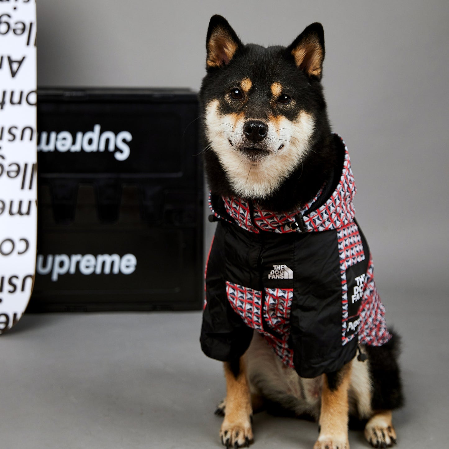 Veste imperméable coupe-vent et imperméable pour chien, nouvelle marque de mode