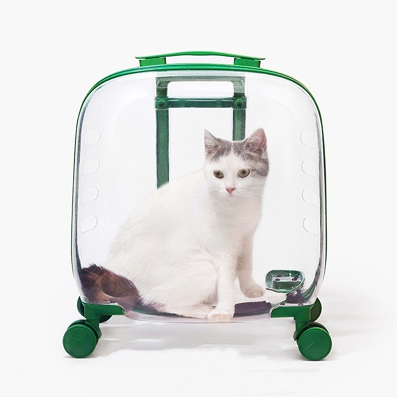 Sac pour chat, sac à roulettes Portable pour animaux de compagnie, Capsule spatiale, bagage Transparent pour chat