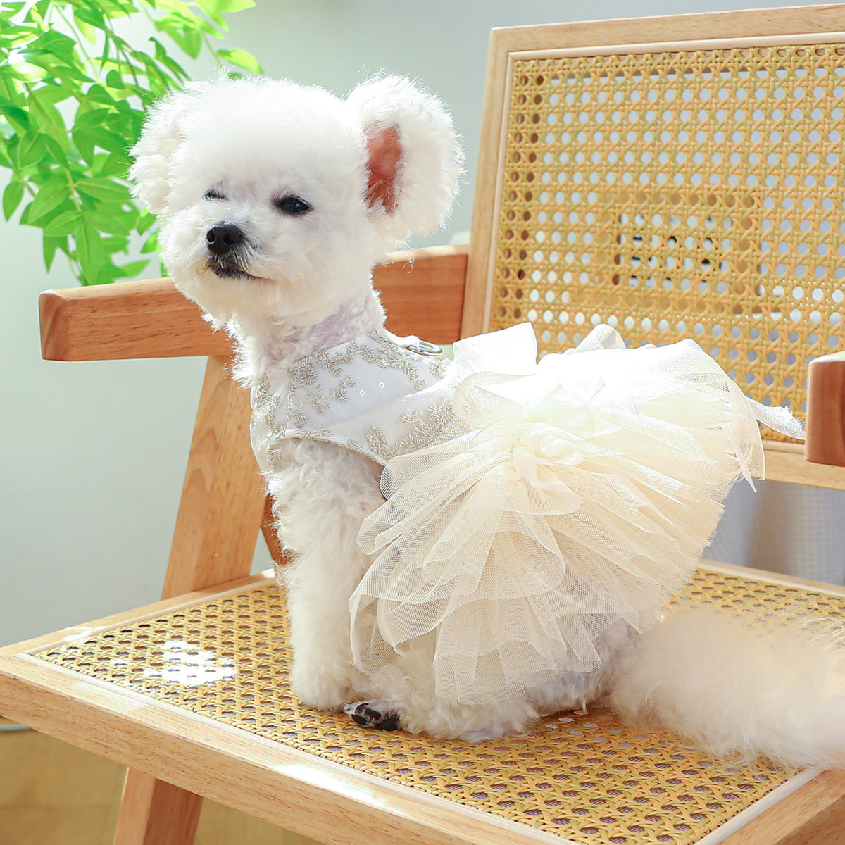 Vestido de novia fino para perros y gatos de primavera y verano