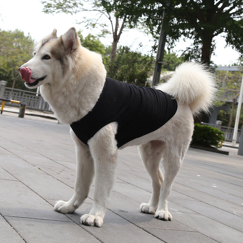 XS-5XL chien gilet chien chemise été petit moyen chien vêtements Chihuahua t-shirt