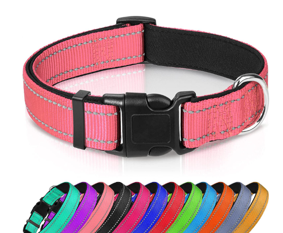 Collier pour chien réglable en sangle en nylon réfléchissant