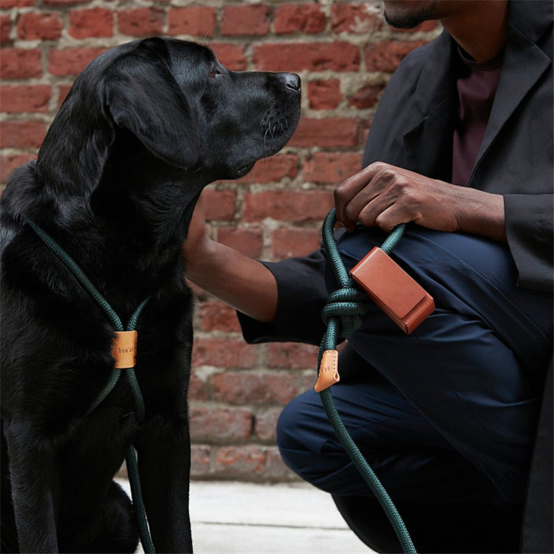 Dispensador portátil de cuero para bolsa de basura para mascotas para salir