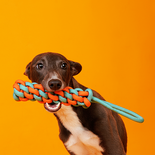 Juguete interactivo con nudo para perros, cachorros y perros adultos, pequeños y medianos