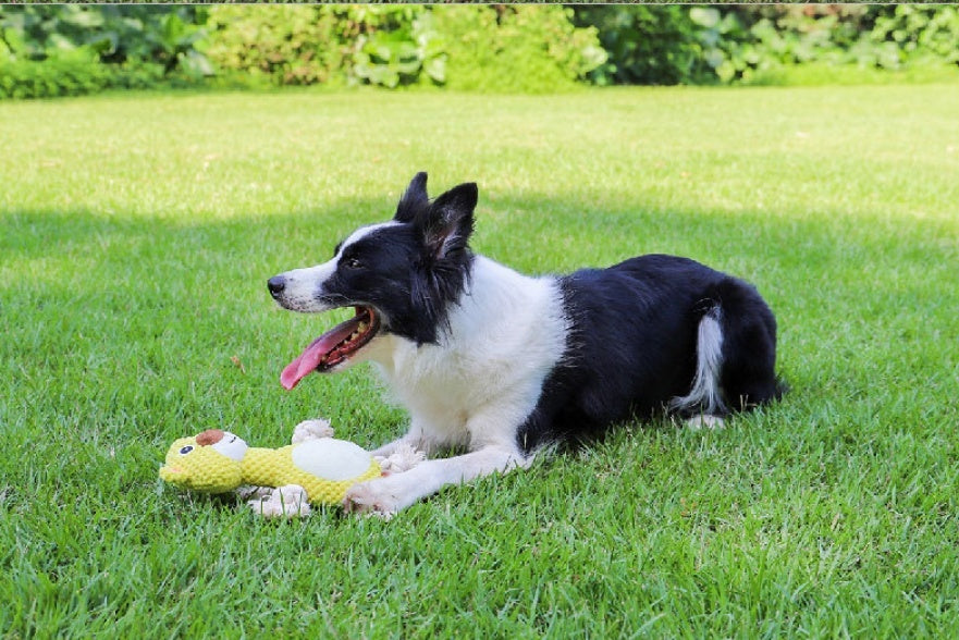 Juguete interactivo para perros resistente a mordeduras