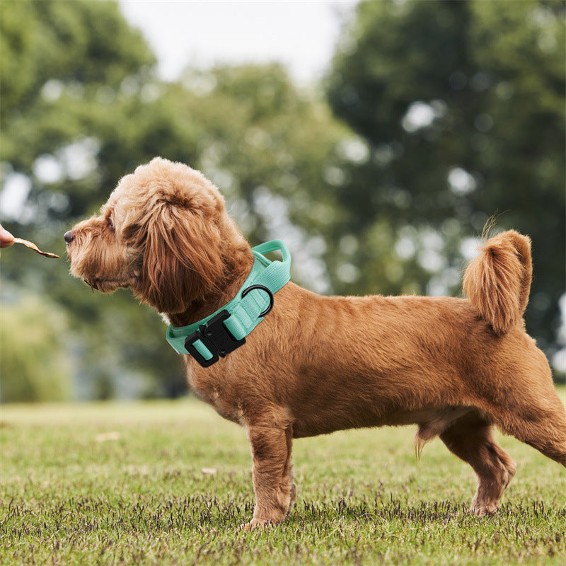 Correa para perros grande y mediana ajustable con tracción elegante