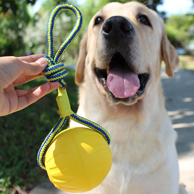 Anillo de interacción molar para cachorros resistente a mordeduras de juguete para mascotas 