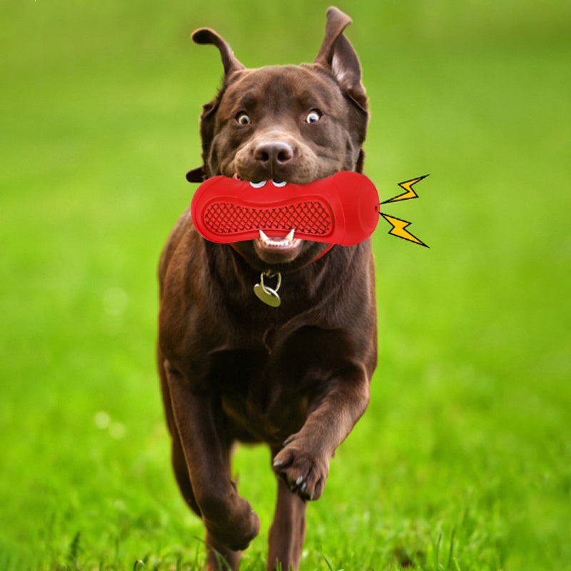 Jouets pour animaux de compagnie de Rugby vocal, jouets de dentition en caoutchouc naturel, dents mordantes résistantes, jouets à mâcher pour chiens